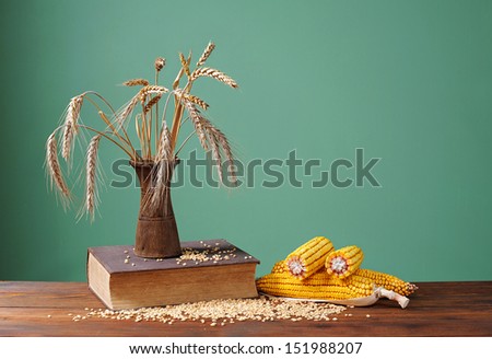 Wheat ears of corn in a vase and corn on the table