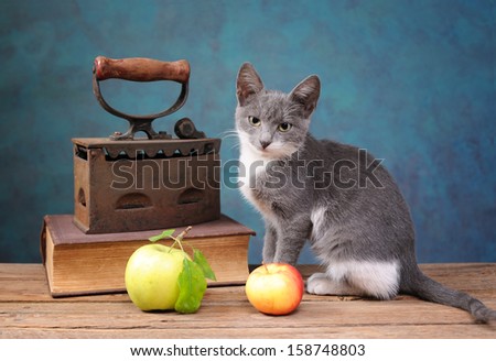 Cat posing next to an old irons, books and apple