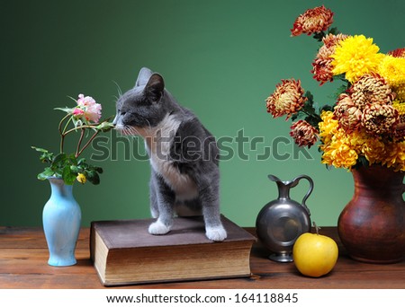 Cat posing next to flowers and books