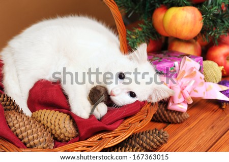 White cat plays with a mouse from plush