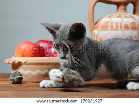 Cat playing with a plush mouse