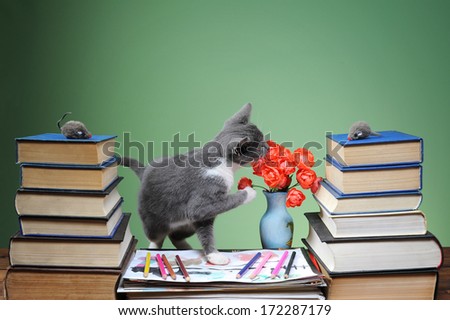 Cat is played with plush mouse and book