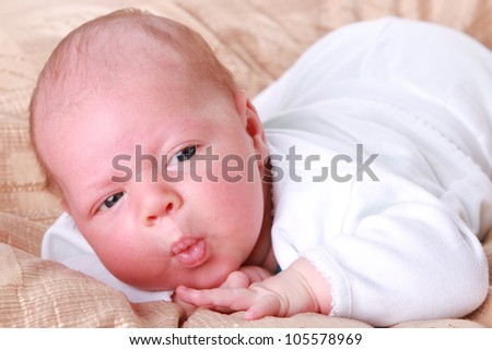 studio image of funny newborn is relaxing over light textured background