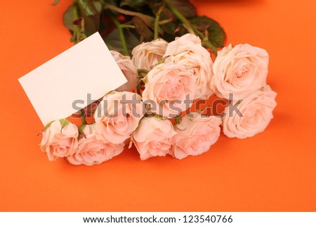 blossom creamy roses for decoration/Spring bouquet of fresh flowers on Holiday theme