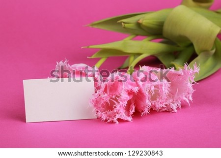 Bouquet of white with pink tulips/Spring bouquet of flowers on pink background with white card for your special text on holiday theme such as Easter