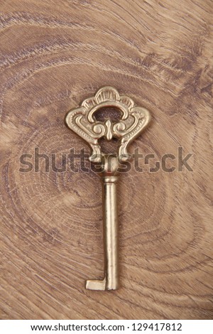 Old key on wooden table/Antique metal key on a light wooden background