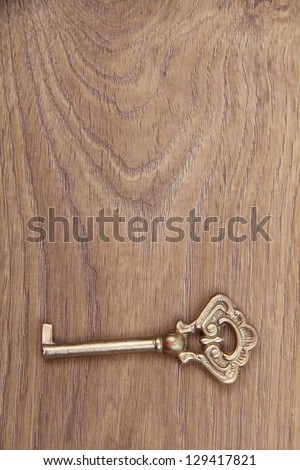 One antique key lies on a light wooden background/Old key on wooden table, close up photo