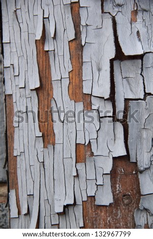 Old painted wood texture background/Old wooden planks with cracked light paint
