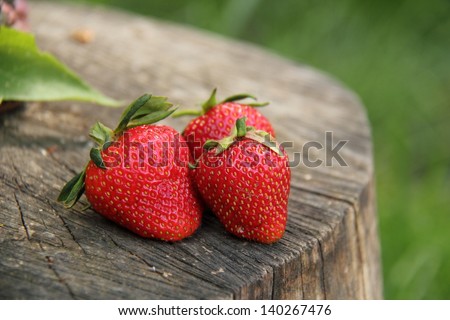 Red fresh strawberries as a source of vitamins for health