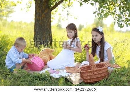 Two little girls in summer clothes boy playing with toys on a picnic in the summer field with wild flowers