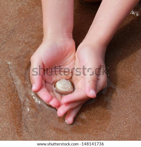 Hands in sea water with a small shell/Children\'s hands playing with the sea sand