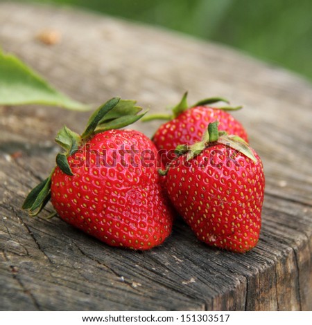 Red fresh strawberries as a source of vitamins for health
