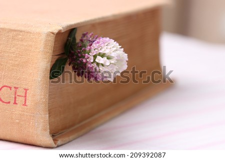 Purple flower between the pages of an old book as a romantic concept isolated on white