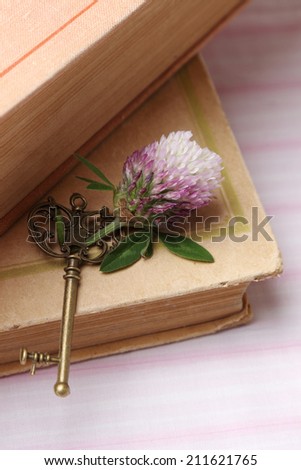 Old book with vintage key memories concept