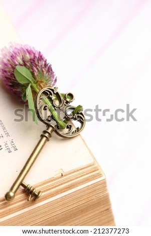Antique key with fresh purple flower lies on the book