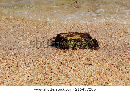 Black Sea shore with clear clean water with sand shells and stones