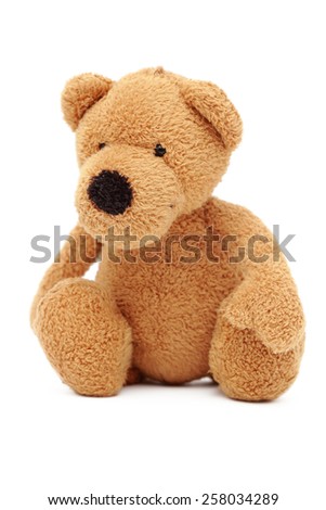 Teddy bear isolated