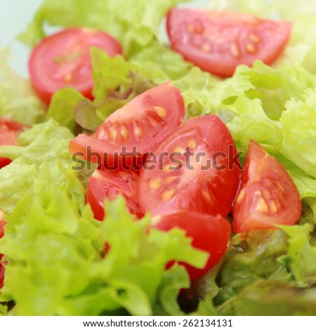 green salad and tomato texture