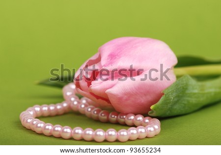 One light pink tulip with green leaf with some jewelery over light green background on holiday concept theme/pink tulip