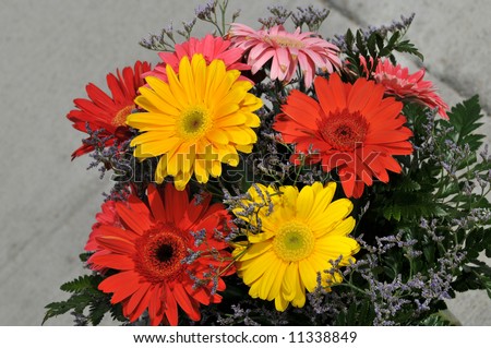 Bouquet of daisies in arrangement