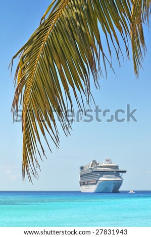 Palm tree and cruise ship in background - With selective focus
