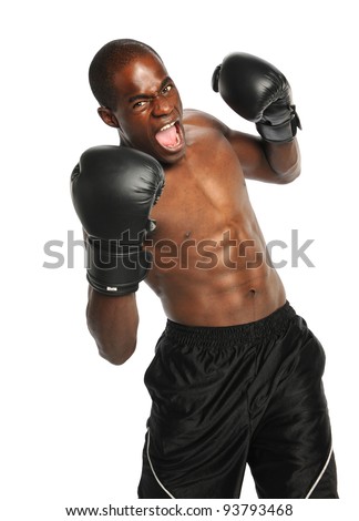 American Boxer Pictures