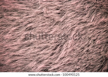 Pink fur for background usage