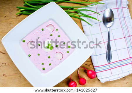 Traditional polish spring \'cold soup\' made of beets, radish, cucumber and yogurt