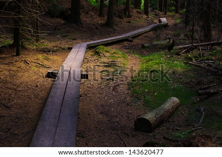 Wooden path deep in the forest