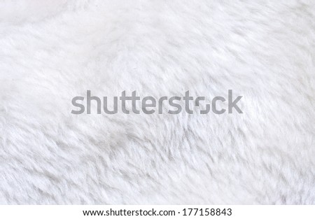 White fur texture for background usage