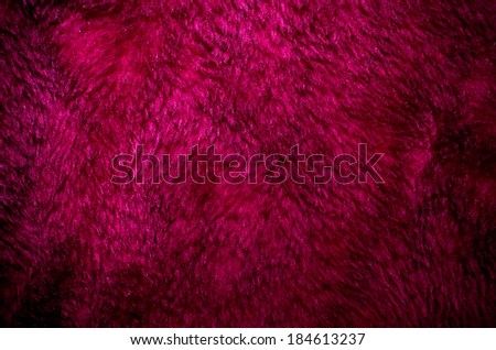 Violet fur for usage as background