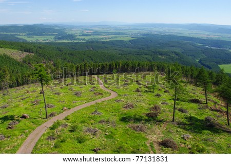 Scene with forest and road