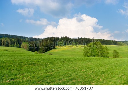 Spring landscape near the forest