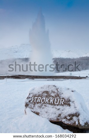 Strokkur geysir at Geysir at Iceland in wintertime