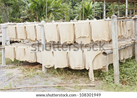 Pressed latex or sheet rubber hang for dry on the washing line