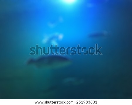 Fish swimming in deep blue water background blurred