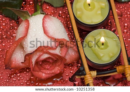 row of green candles with rose