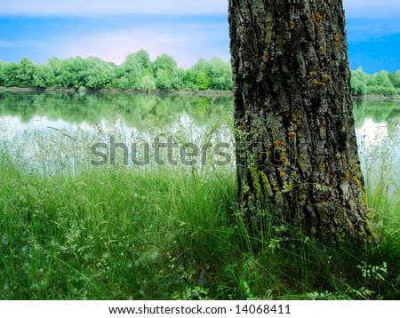 land with tree, river and sky
