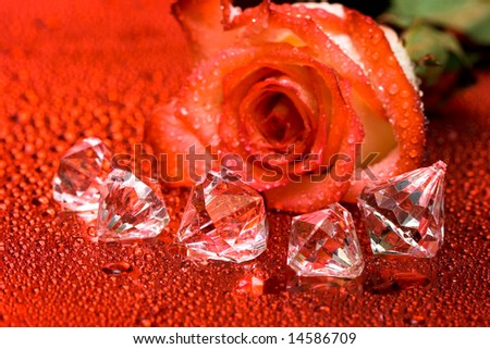 red rose and diamond crystals with water droplets