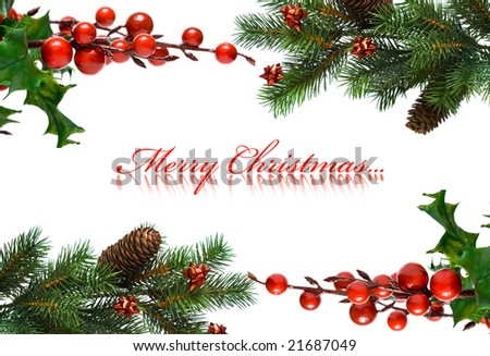 border from Christmas branches of fir-tree and european holly border from Christmas branches of fir-tree and european holly
