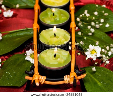 Row of green candles and white flowers