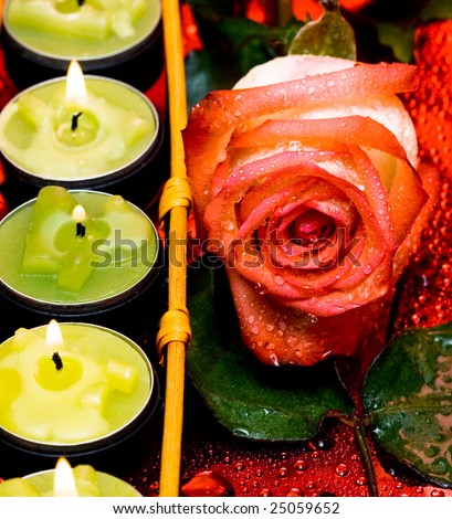 row of green candles with roses