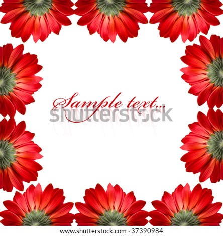 frame of red flowers isolated on white background
