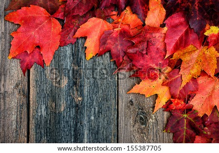 Colourful autumn leaves on a rustic wooden surface Picnic table.  Room for Copy space.