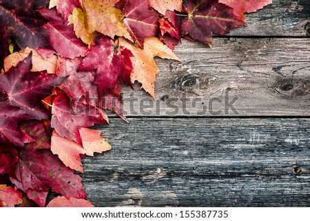 Colourful autumn leaves on a rustic wooden surface Picnic table. Lightly bleached.  Room for copy space.