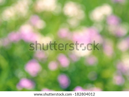 Out of focus floral photograph in pastel spring or Easter colours creating a pleasing flower abstract.  Great for a background or overlay image.