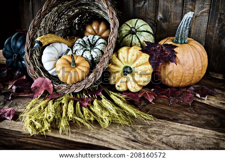 A bountiful thanksgiving cornucopia with squash, gourds, pumpkins, wheat and leaves on an old antique table.  Filtered for an aged retro look.