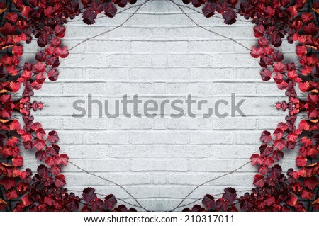 A gray brick wall surrounded by a border of grape vines and autumn red leaves.  Room for copy space text.