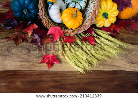 A cornucopia with squash, gourds, pumpkins, wheat and leaves on an old antique harvest  table.  Room for copy space.
