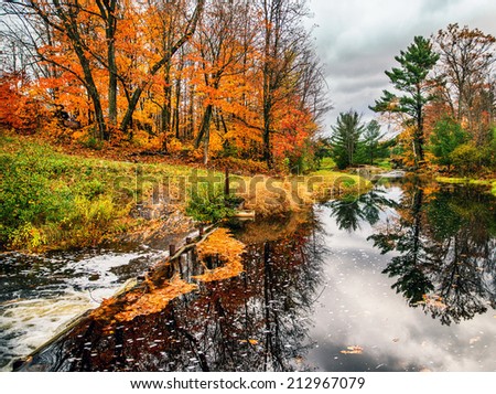 A stream runs through treed landscape in the fall season.